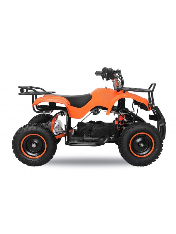 QUAD ATV ECO TORINO ELECTRIQUE 1000W 48V Batterie Amovible de 4 à 7